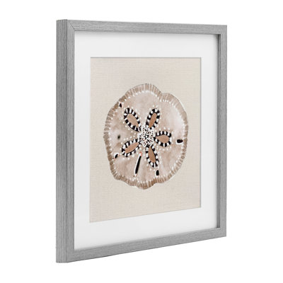 Taupe & Beige Sand Dollar Framed Print Under Glass, design by Lanie Loreth