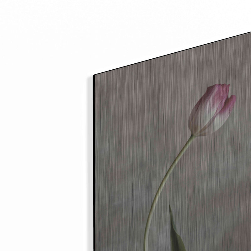 Fresh Tulips I de Debra Van Swearingen, H 16 po x l 12 po