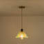 Luminaire suspendu ajustable en verre pétale 59 po Levona