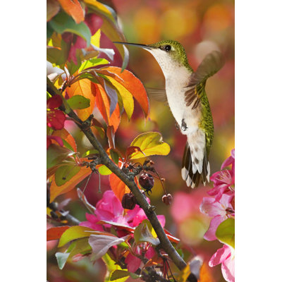 The Flower Dance XVII - Wrapped Canvas Art Prints