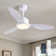 42''/52'' Standard Dimmable Ceiling Fan With Light Kit