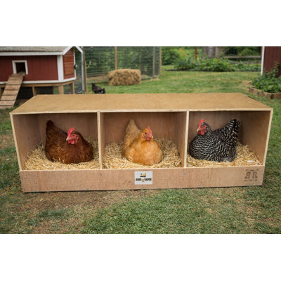 Rugg'Egg' Ranch Triplex Wooden Nesting Box