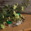 Arrangement-34404672