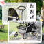 Collapsible Pet Carrier-251882339