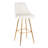 Fixed-Height Barstool
