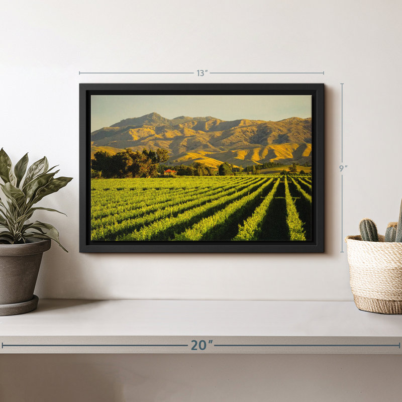 Nature "Art mural Blenheim Vineyard", H 9 po x l 13 po