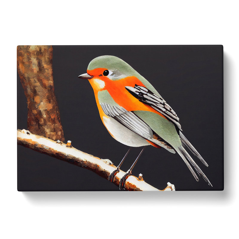 Enchanting Robin Bird - Wrapped Canvas, 35cm H x 50cm W x 3cm D
