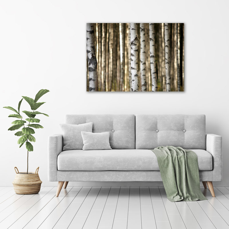 Birches - Wrapped Canvas Print