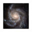 Big, Beautiful Spiral, Messier 101 (Pinwheel Galaxy) 1 Piece Wrapped Canvas Wall Art-73423617