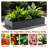 6 - Foot Long, Galvanized, Raised Bed, Black, Outdoor, Container, Vegetables, Succulents, Rust Design 6X3x1 Ft Black Galvanized Steel Garden Outdoor Container For Growing Flowers And Stable With-1996376422