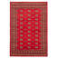 Tapis rouge 6 pi 1 po x 9 pi 0 po Finha Peshawar Bokhara