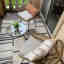 Photos des clients 1 de 1