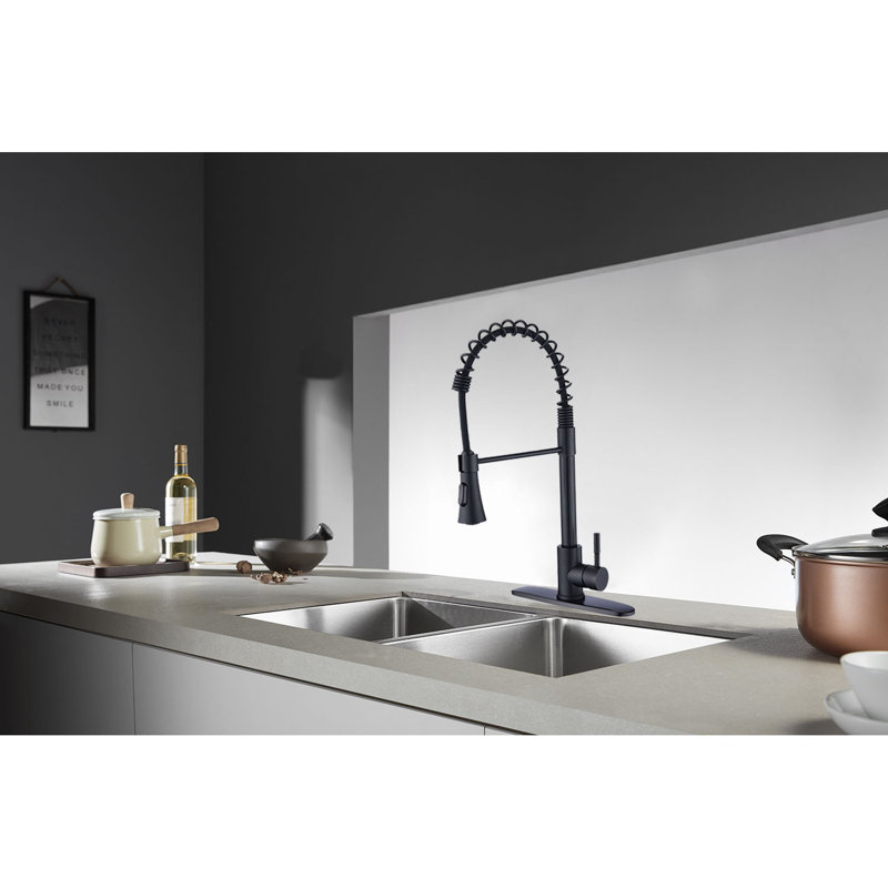 Robinet de cuisine à poignée simple avec accessoires Spring