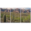 Décoration murale paysage moderne Saguaros in Sonoran Desert-102297666-102297668