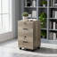 Brandice 15.7'' Wide 2 -Drawer Mobile File Cabinet