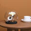 Terrarium Cloche with Wood Base
