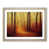 Oak Framed selected