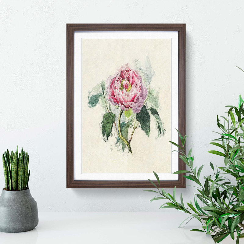 Illustration of a Pink Peony - Picture Frame Painting Print on MDF, Walnut Framed, 48cm H x 36cm W x 2cm D