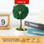 Centre de table Mossever en pot-1970813643