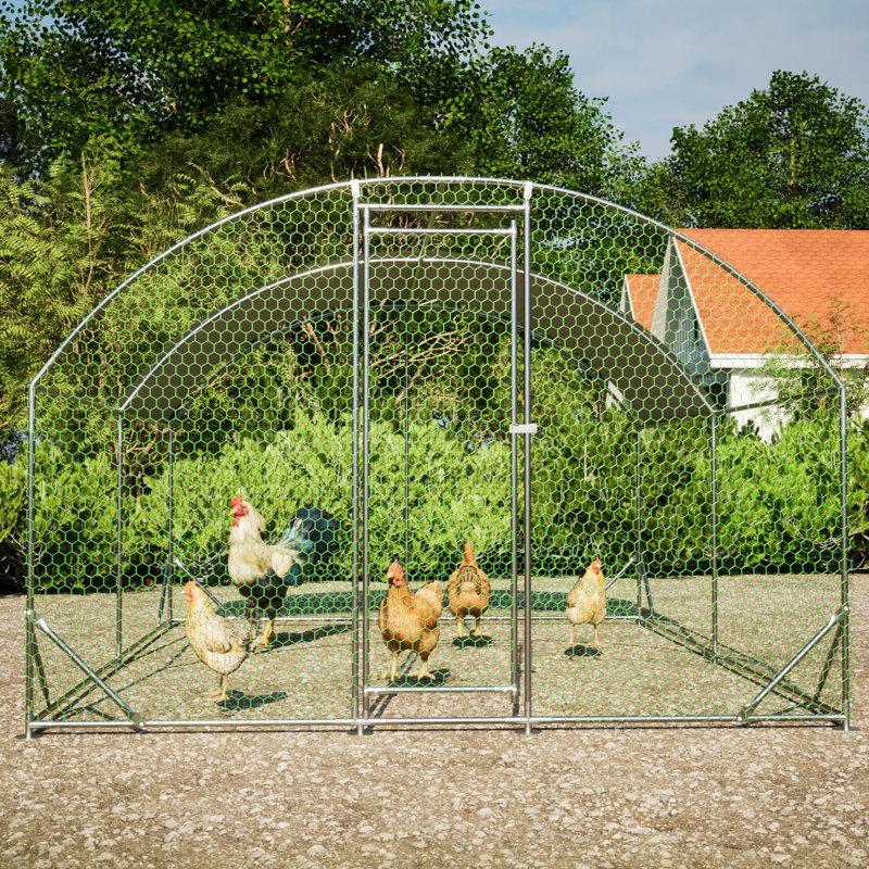 Cage en métal Chuck Run, Moyen (H 78,72 po x l 157,44 po x P 118,08 po)