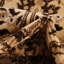 Tapis bourgogne Bhatari-575896839-606552090