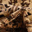 Tapis bourgogne Bhatari-575896841-606552090