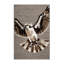 Tapis lavable Osprey Birds-1739489256