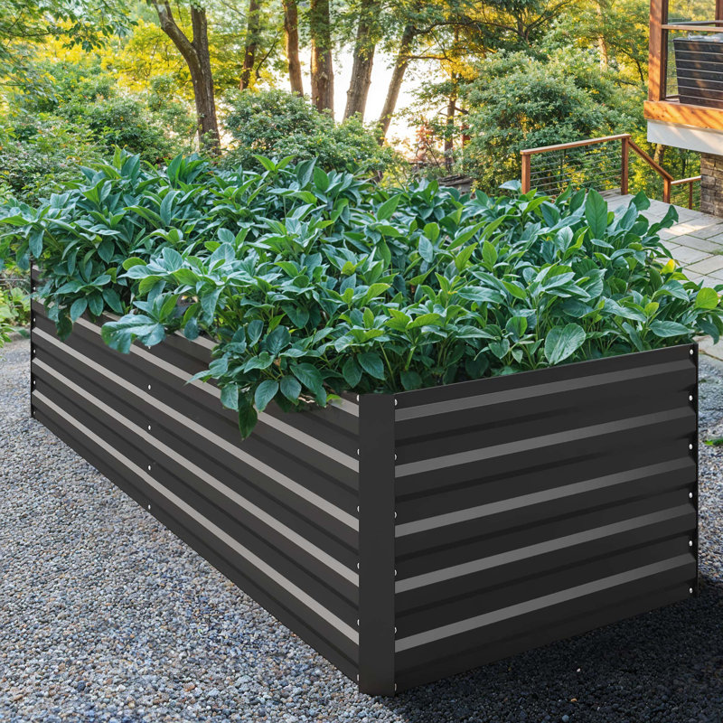 Grand ensemble de jardin surélevé pour plantes, légumes et fleurs, comprend 2 gants