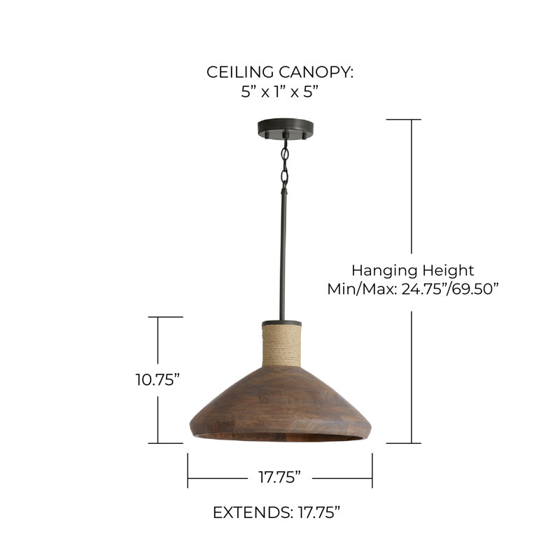 Jacob 1 - Light Natural/Black Iron Silk Single Pendant