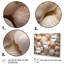Beige palourde, coquillage, symphonie I - impression-285183599-285183594
