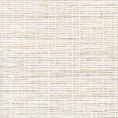 Kravet Design - W3980-6