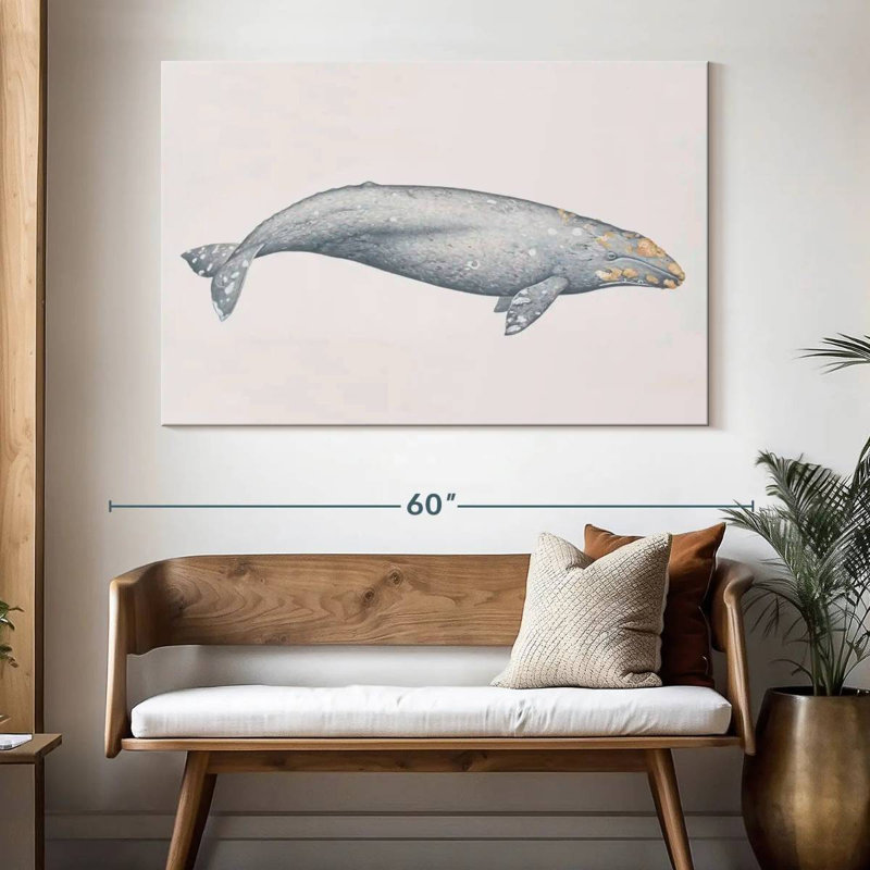 Brampt Gray Whale, 34" H x 51" W