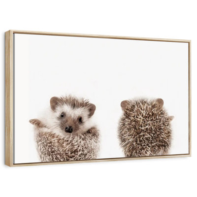 Hedgehog Front And Back Portrait