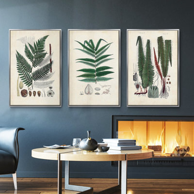 Collection de fougères IV encadrées sur toile, ensemble de 3 pièces