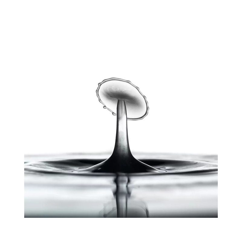 Liquid Dish by Andreas Stridsberg - Gallery-Wrapped Canvas Giclée on Canvas, 45.72 cm H x 45.72 cm W, Canvas