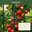 Cage à tomates carrée 14,5 po-126544850