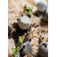 Minturn Handmade Pot Planter