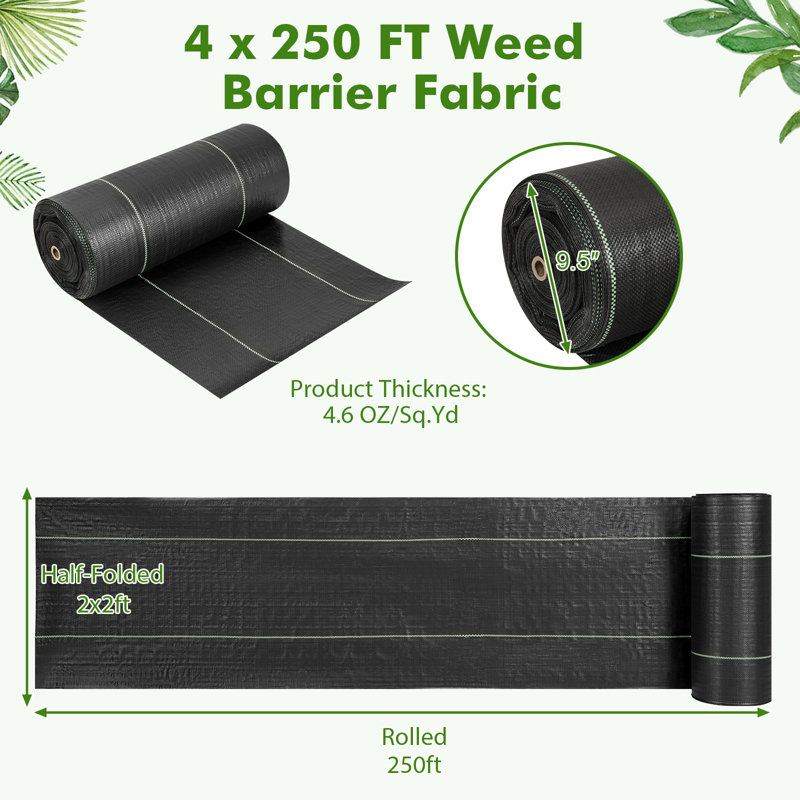 PP Weed Barrier Landscape Fabric Weed Control Vegetable Patch, 48" H x 3,000" W x 0.10" D