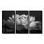 Gassaway - lotus, reproduction d'art mural-107213911-107213914