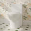 Toilette allongée une pièce avec surface vernie Oakshire, hauteur confortable de 17,3 po, chasse double 1,1 / 1,6 GPF avec MaP 1000 g, certifiée cUPC et CEC, brute de 12 po-121394407