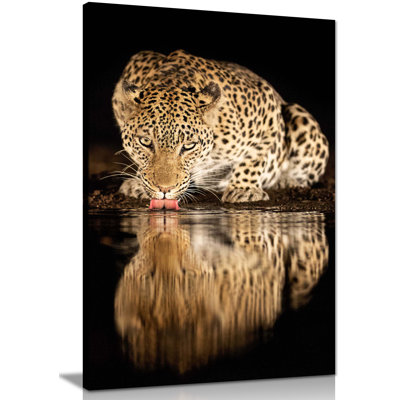 Drinking Yellow Jaguar Reflection In Water - Wrapped Canvas Print