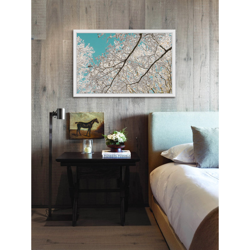 Judy Stalus - Single Picture Frame Print, 61cm H x 91cm W x 3.81cm D