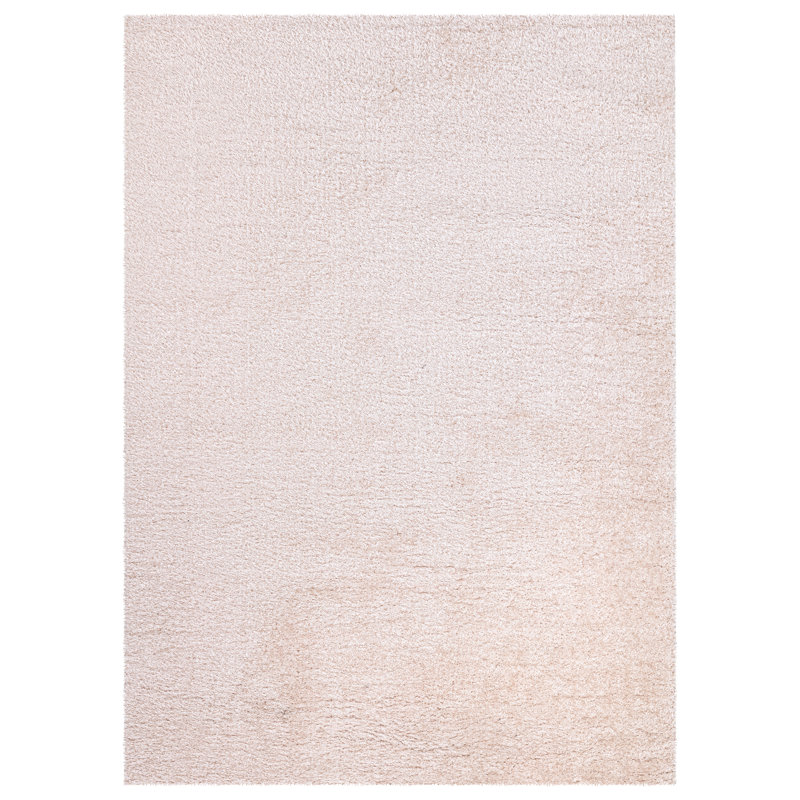 Chantoria Shag Indoor / Outdoor Area Rug, Rectangle 60 x 110 cm
