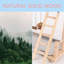 Bird Play Gym With Swing,Ladder,Tray,And Two Cups