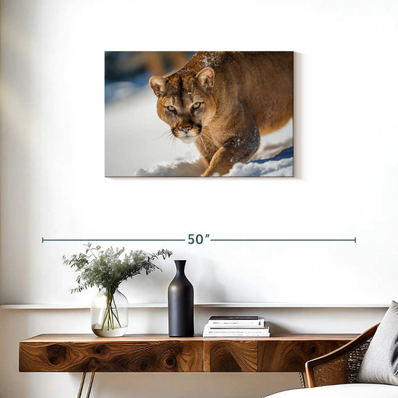 Cougar Brampt dans la neige, H 20 po x l 30 po