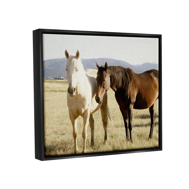 Chevaux de campagne, nature animalière - photographie, H 17 po x l 21 po x P 1,7 po, Cadre flottant noir de jais