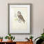 Little Owl Premium encadré mat - prêt à accrocher-1174590364-1174590365