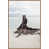 Brown Floater Framed Canvas selected