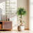 Ficus Artificial Tree with Curved Trunk