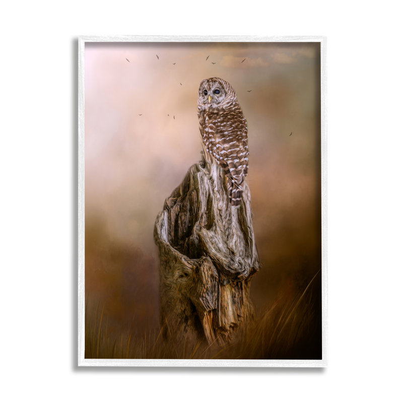 Tronc d'arbre perché barré nature - photographie, H 20 po x l 16 po x P 1,5 po, Giclée encadrée blanc bord de mer